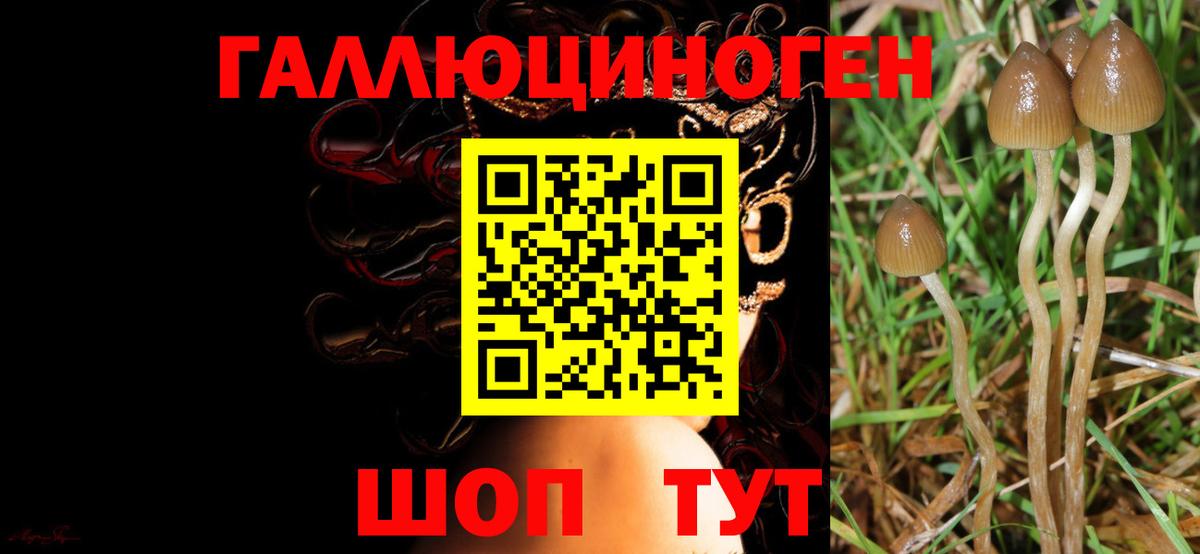 Галлюциногенные грибы мухоморы  Вход с VPN  Псилоцибиновые грибы Psilocybine cubensis  Обнинск 