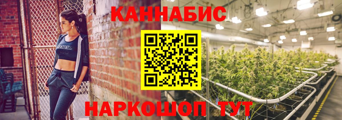 Бошки марихуана сатива Обнинск